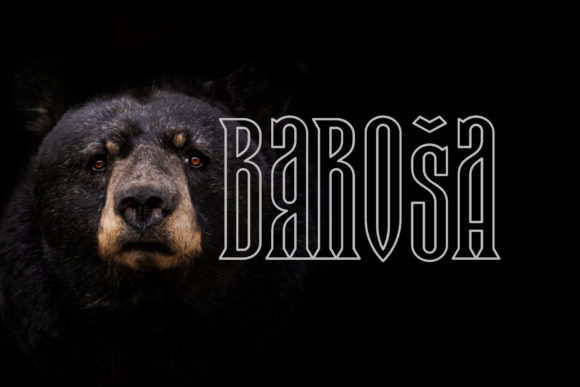Baroša: A Bold 3D Display Font for Branding